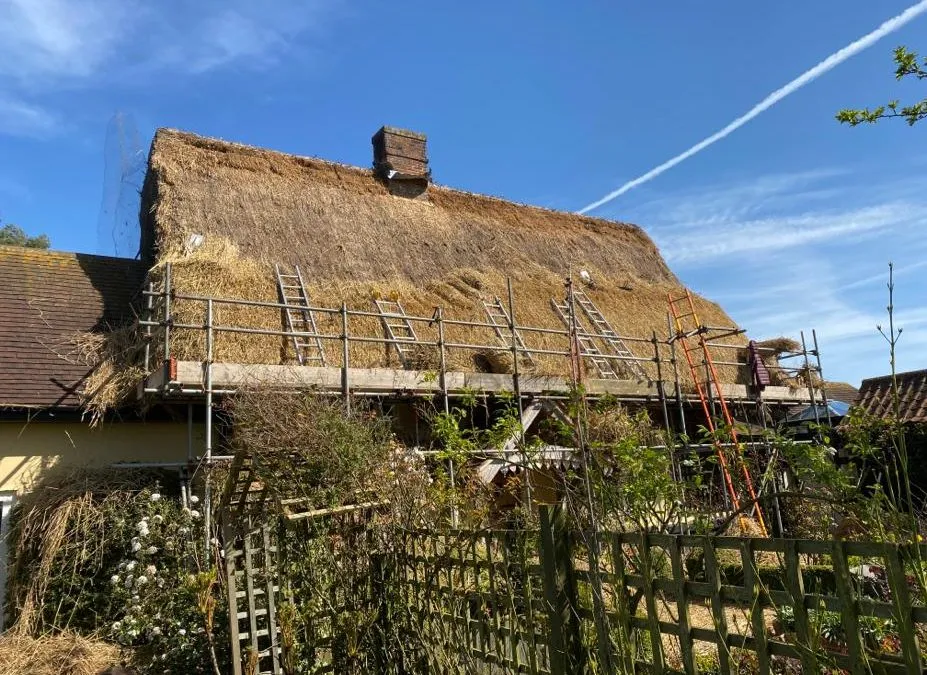 Suffolk Rethatching with Long Straw